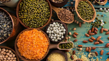 Grain, Pulses and Spices
